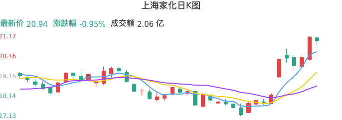整体分析-日K图：上海家化股票整体分析报告