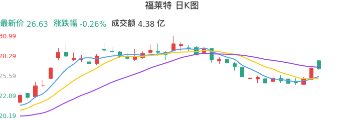 整体分析-日K图：福莱特股票整体分析报告