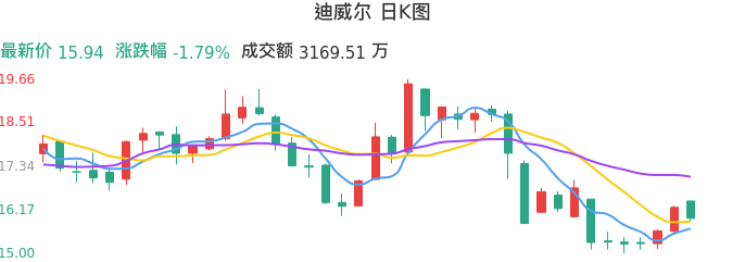 整体分析-日K图：迪威尔股票整体分析报告