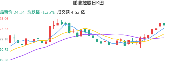 整体分析-日K图：鹏鼎控股股票整体分析报告