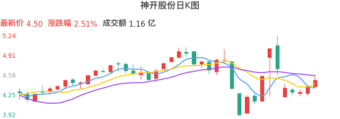 整体分析-日K图：神开股份股票整体分析报告