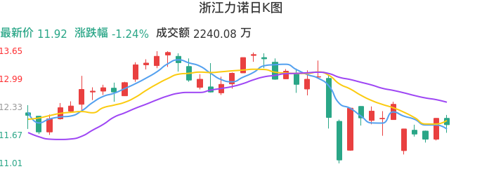 整体分析-日K图：浙江力诺股票整体分析报告