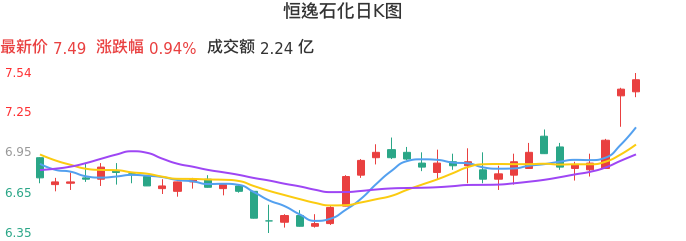 整体分析-日K图:恒逸石化股票整体分析报告