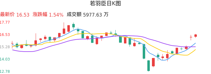整体分析-日K图：若羽臣股票整体分析报告