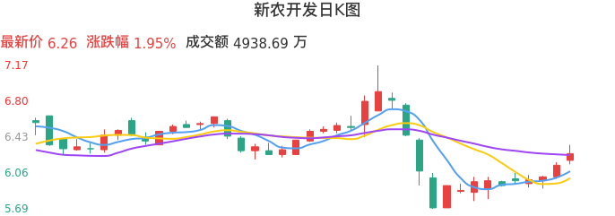 整体分析-日K图:新农开发股票整体分析报告