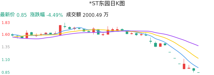 整体分析-日K图：*ST东园股票整体分析报告