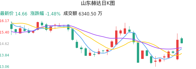 整体分析-日K图：山东赫达股票整体分析报告