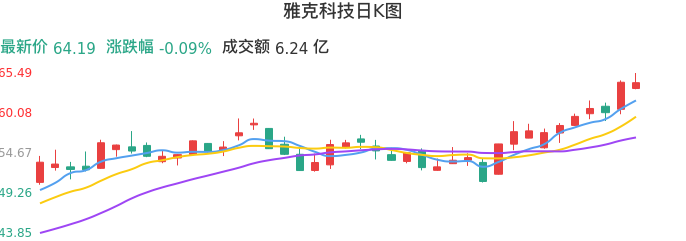 整体分析-日K图：雅克科技股票整体分析报告