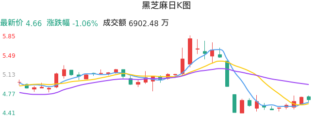 整体分析-日K图：黑芝麻股票整体分析报告