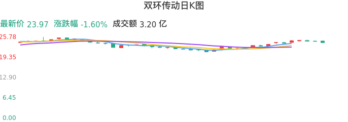 整体分析-日K图:双环传动股票整体分析报告