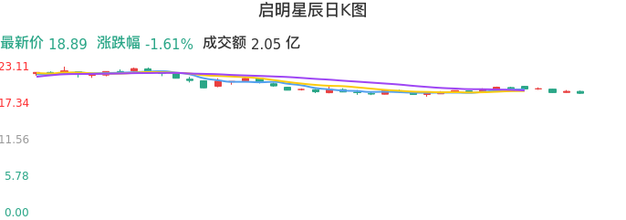 整体分析-日K图：启明星辰股票整体分析报告