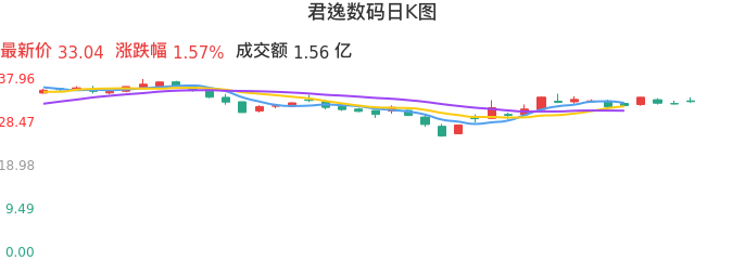 整体分析-日K图：君逸数码股票整体分析报告