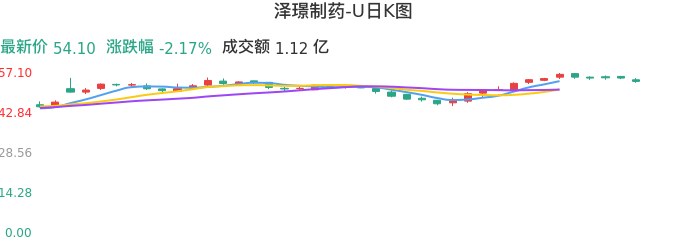 整体分析-日K图：泽璟制药-U股票整体分析报告