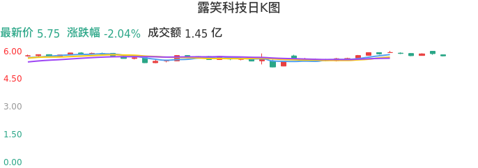 整体分析-日K图：露笑科技股票整体分析报告
