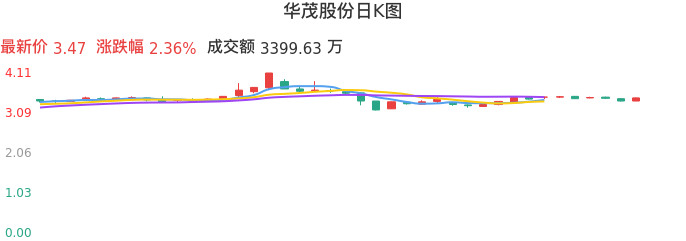 整体分析-日K图：华茂股份股票整体分析报告