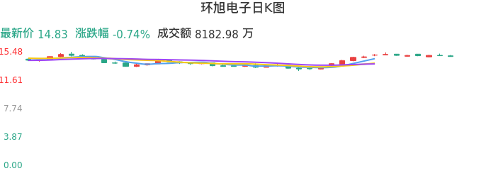 整体分析-日K图：环旭电子股票整体分析报告