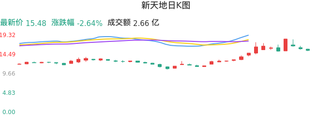 整体分析-日K图：新天地股票整体分析报告