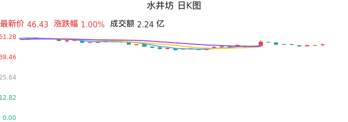 整体分析-日K图：水井坊股票整体分析报告