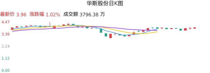 整体分析-日K图：华斯股份股票整体分析报告