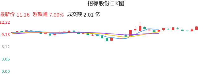 整体分析-日K图：招标股份股票整体分析报告