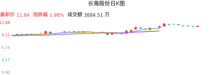 整体分析-日K图：长海股份股票整体分析报告