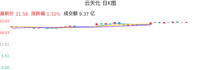 整体分析-日K图：云天化股票整体分析报告