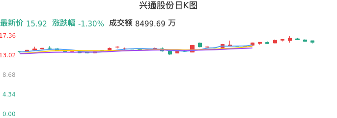 整体分析-日K图：兴通股份股票整体分析报告