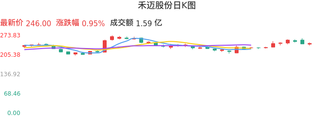 整体分析-日K图：禾迈股份股票整体分析报告