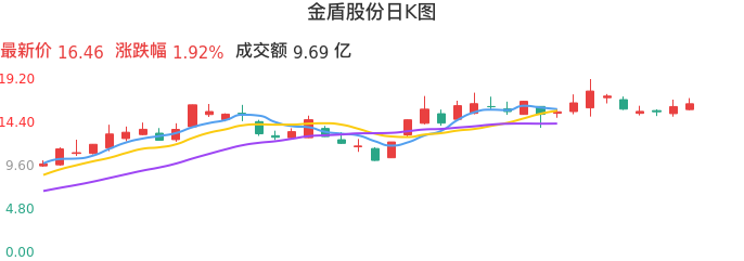 整体分析-日K图:金盾股份股票整体分析报告