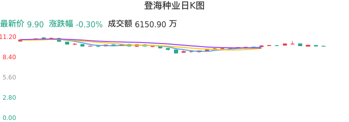 整体分析-日K图：登海种业股票整体分析报告