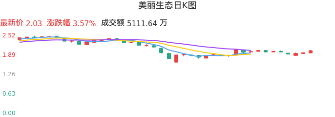 整体分析-日K图：美丽生态股票整体分析报告