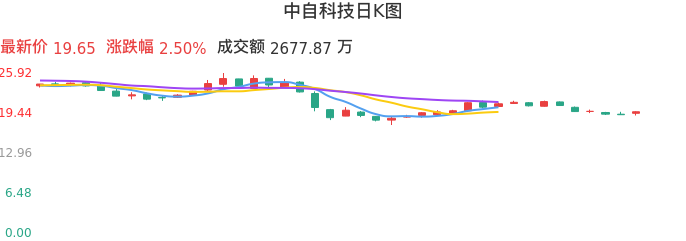 整体分析-日K图：中自科技股票整体分析报告