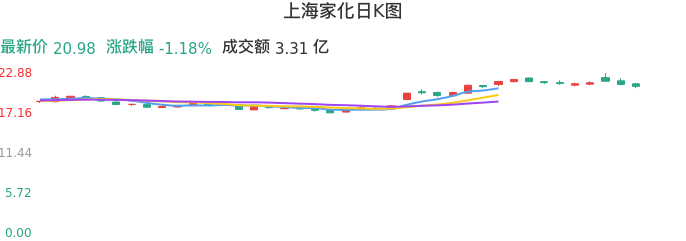 整体分析-日K图：上海家化股票整体分析报告