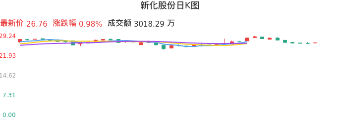 整体分析-日K图：新化股份股票整体分析报告