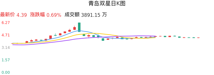 整体分析-日K图:青岛双星股票整体分析报告