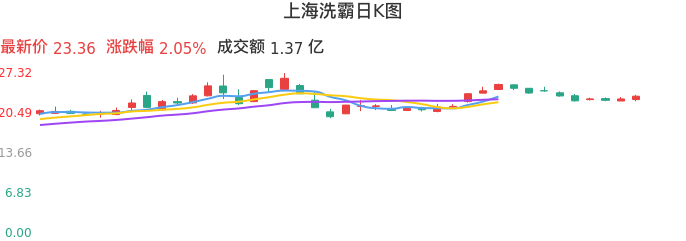 整体分析-日K图：上海洗霸股票整体分析报告