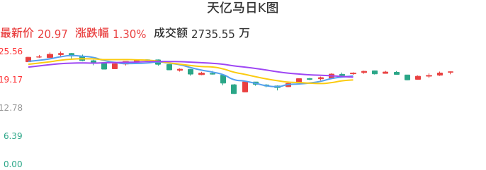 整体分析-日K图：天亿马股票整体分析报告