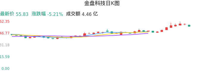 整体分析-日K图：金盘科技股票整体分析报告