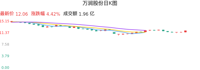 整体分析-日K图：万润股份股票整体分析报告