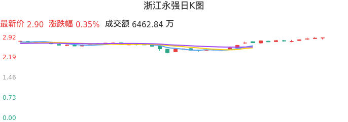整体分析-日K图：浙江永强股票整体分析报告
