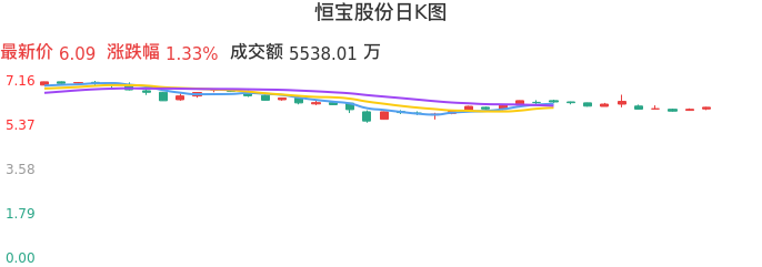 整体分析-日K图:恒宝股份股票整体分析报告