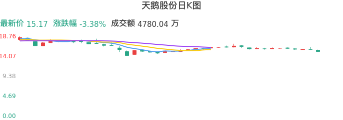 整体分析-日K图：天鹅股份股票整体分析报告