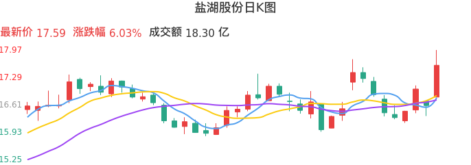 整体分析-日K图：盐湖股份股票整体分析报告
