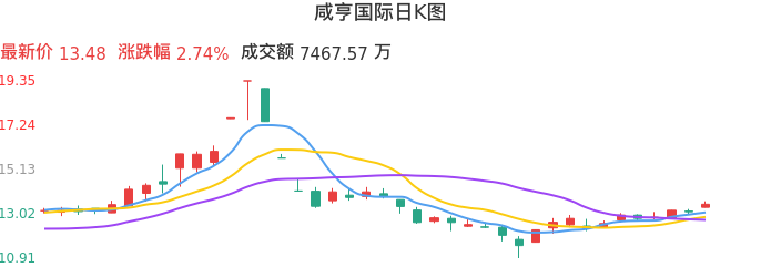 整体分析-日K图：咸亨国际股票整体分析报告