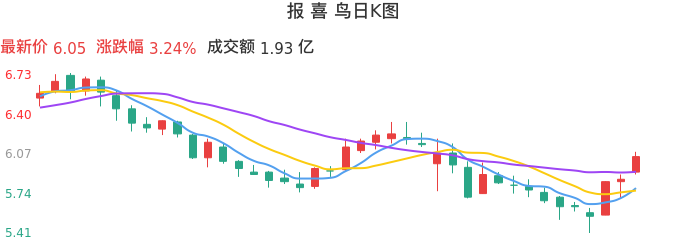 整体分析-日K图：报喜鸟股票整体分析报告