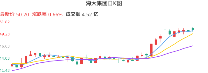 整体分析-日K图：海大集团股票整体分析报告