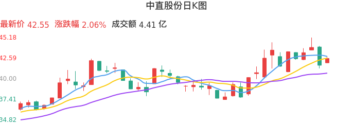 整体分析-日K图：中直股份股票整体分析报告