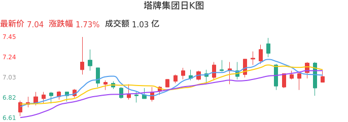 整体分析-日K图：塔牌集团股票整体分析报告