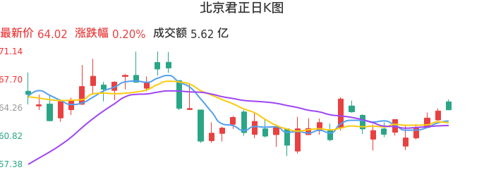 整体分析-日K图：北京君正股票整体分析报告