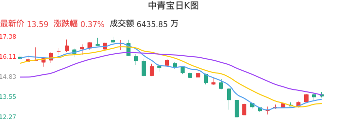 整体分析-日K图：中青宝股票整体分析报告